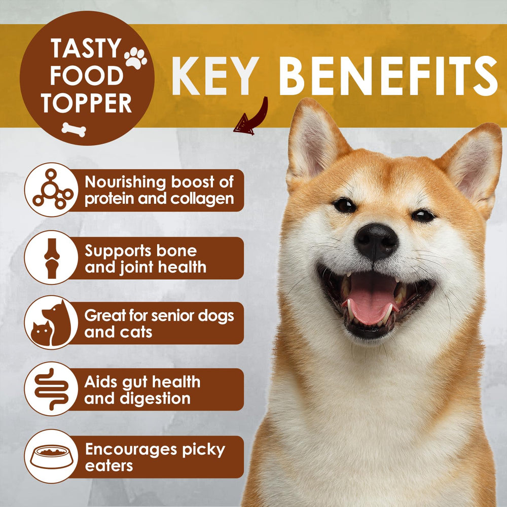 Zammex bone broth powder stirred into wet food offers convenient flavor boost.