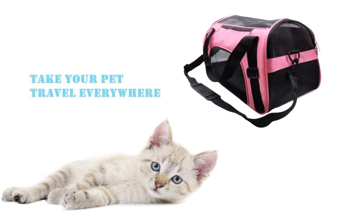 ZaneSun airline approved carrier supports small pets on flights