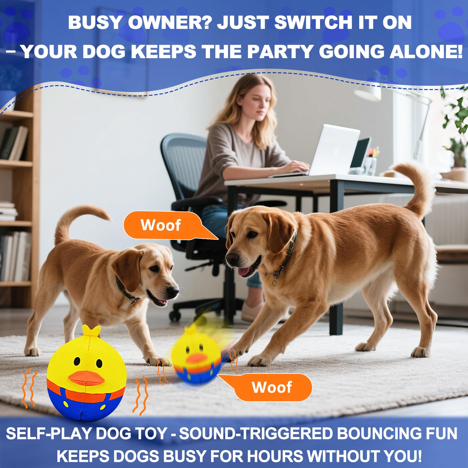ZanLLW crinkle-cover entices dogs during motion-based play sessions.