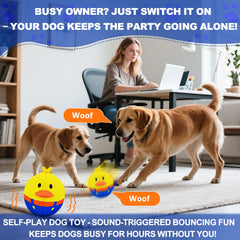 ZanLLW crinkle-cover entices dogs during motion-based play sessions.