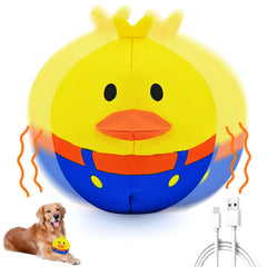 ZanLLW interactive dog toy with duck-cover demonstrates a durable, washable shell.