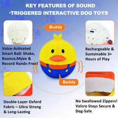 ZanLLW motion-sensor-ball activates with nudges to spark solo play.
