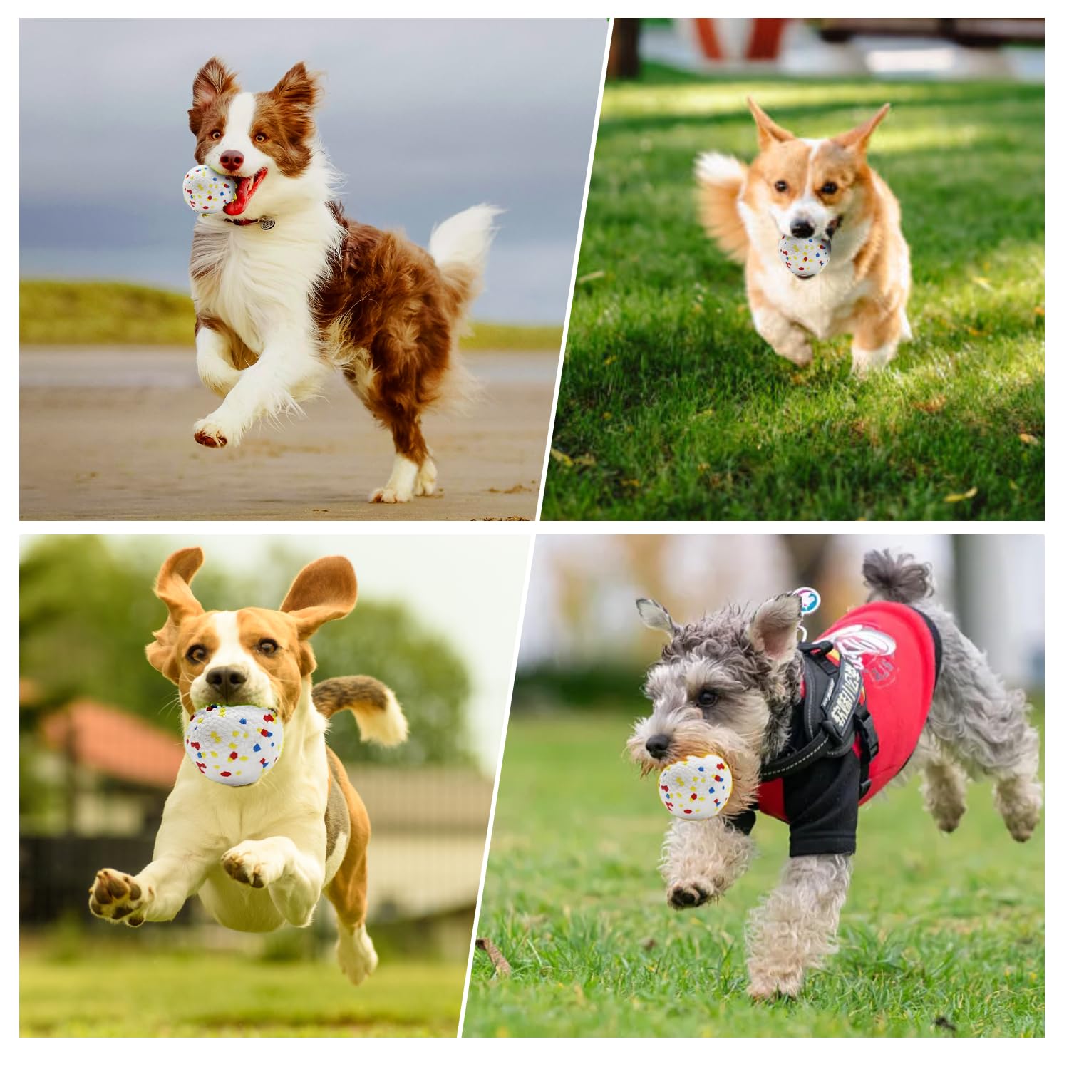 Zapell safety materials closeup showing pet friendly design