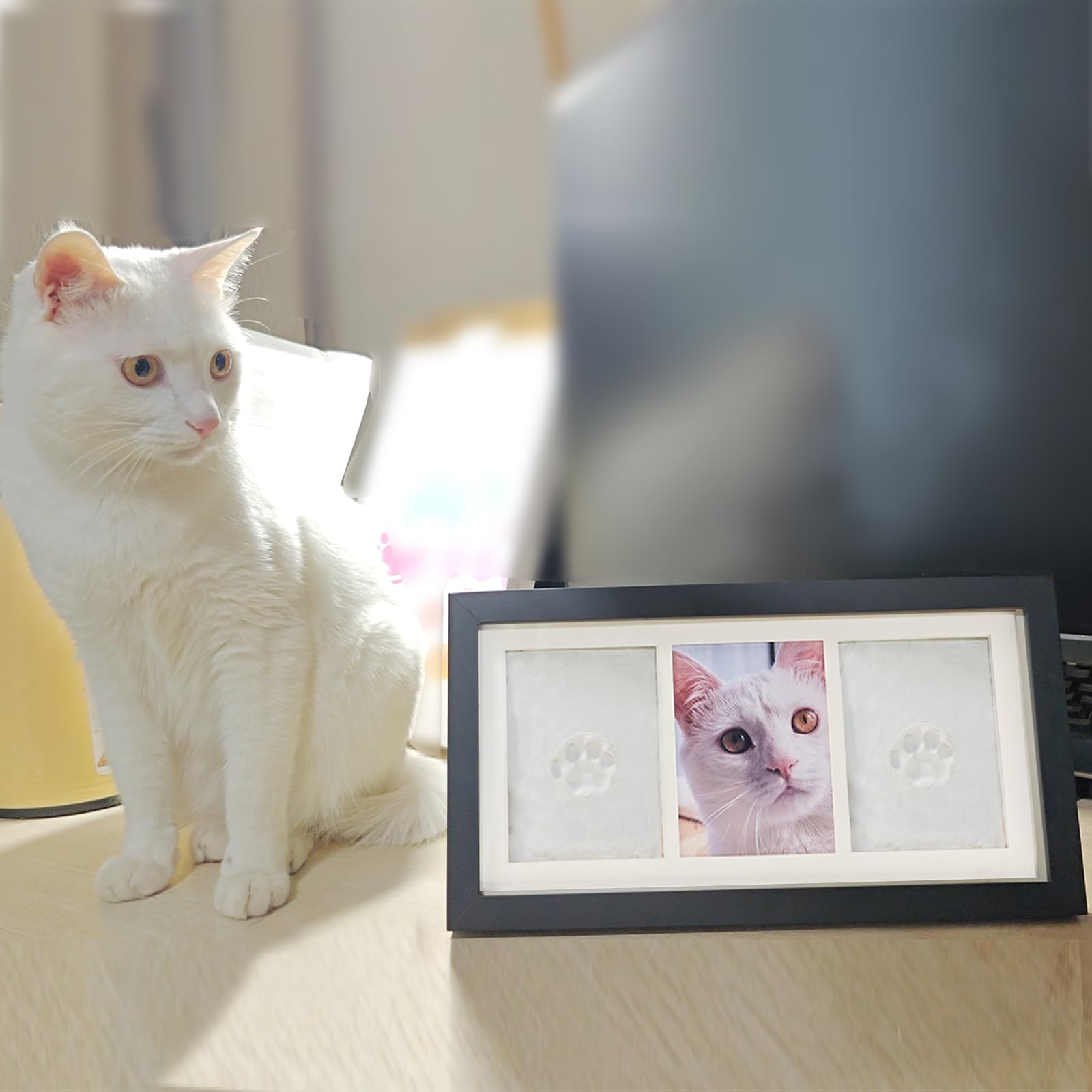 ZAPVLVT multi-pet memory gift idea for birthdays and milestones