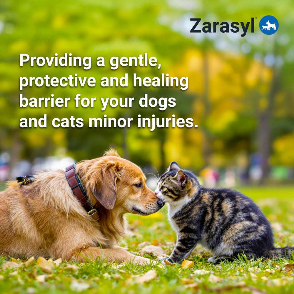 Pet owner applying Zarasyl to a dog's treated area.