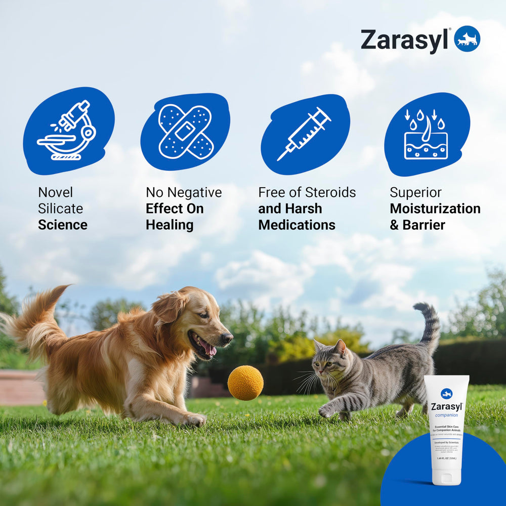 Zarasyl Companion Barrier Cream applied to a paw for moisture and protection.