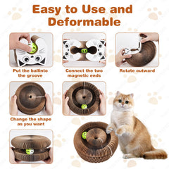 ZAULEY corrugated paper construction provides wear resistance for long-lasting fun.