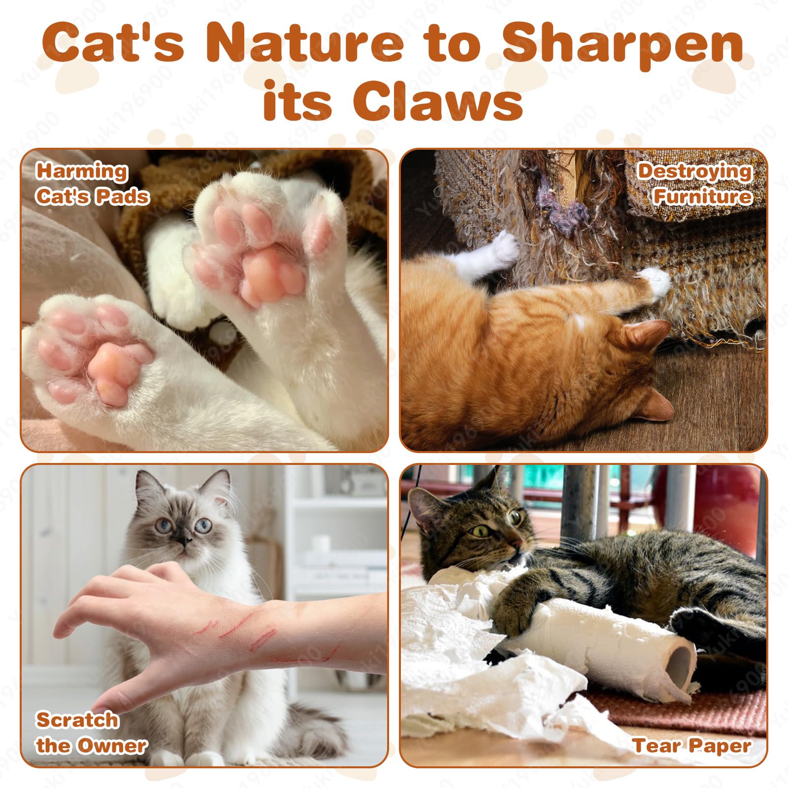 ZAULEY furniture-protection play encourages safe scratching and furniture care.