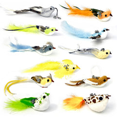 ZAYLUMO bird teaser head with realistic design to spark cat curiosity and chase