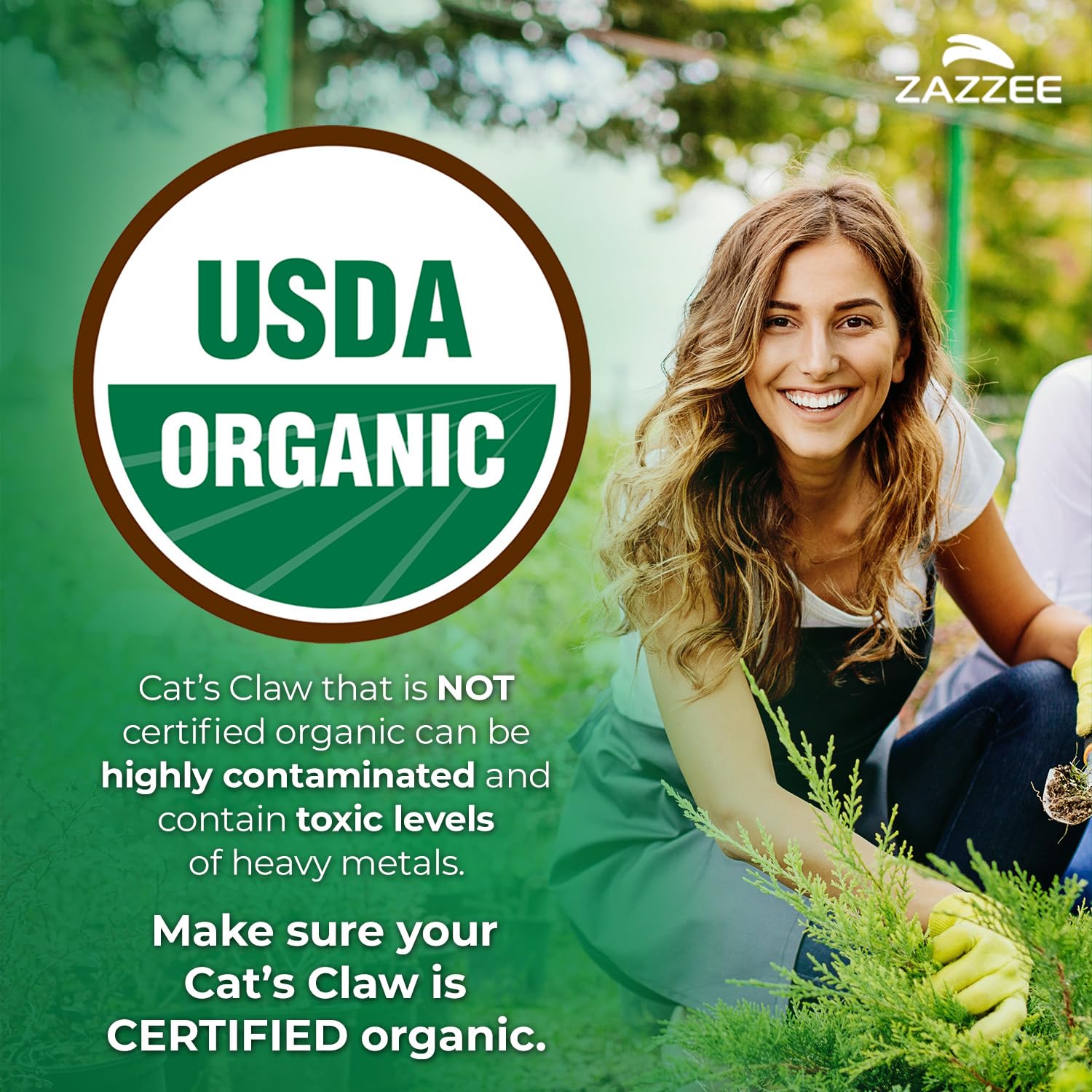 Zazzee Cat's Claw capsules close-up showing vegan capsules and standardized potency.