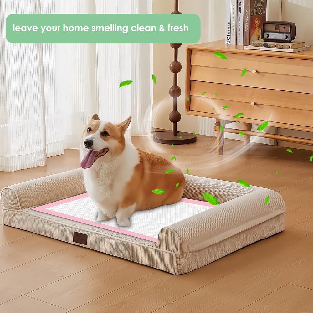 Zdolmy pad quick-dry top layer keeps paws clean and areas dry.