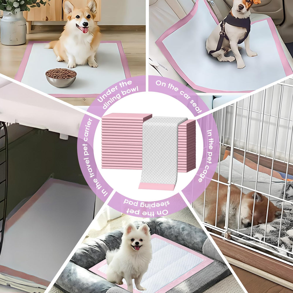Zdolmy pad supports training for puppies and seniors in crates.