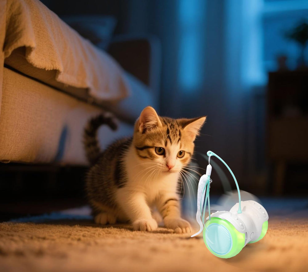 ZeLing HTL in home play enrichment supports active, engaged cats.