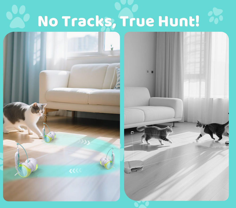 ZeLing HTL remote control cat toy with manual remote fosters bonding during playtime.