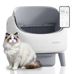 ZeaCotio Open-Top Self-Cleaning Litter Box front view with open access for easy entry.