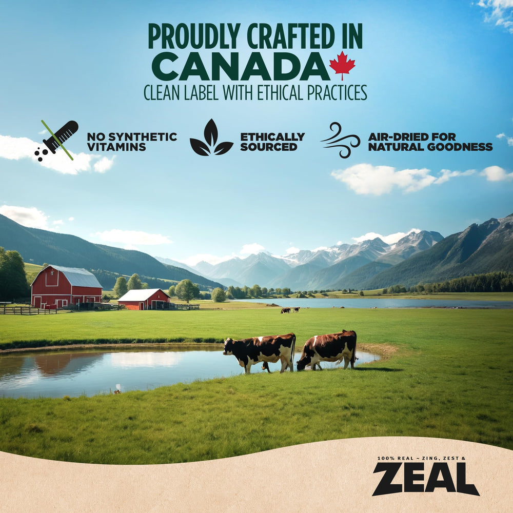 ZEAL Canada air-dried beef serving in a bowl for a wholesome meal idea