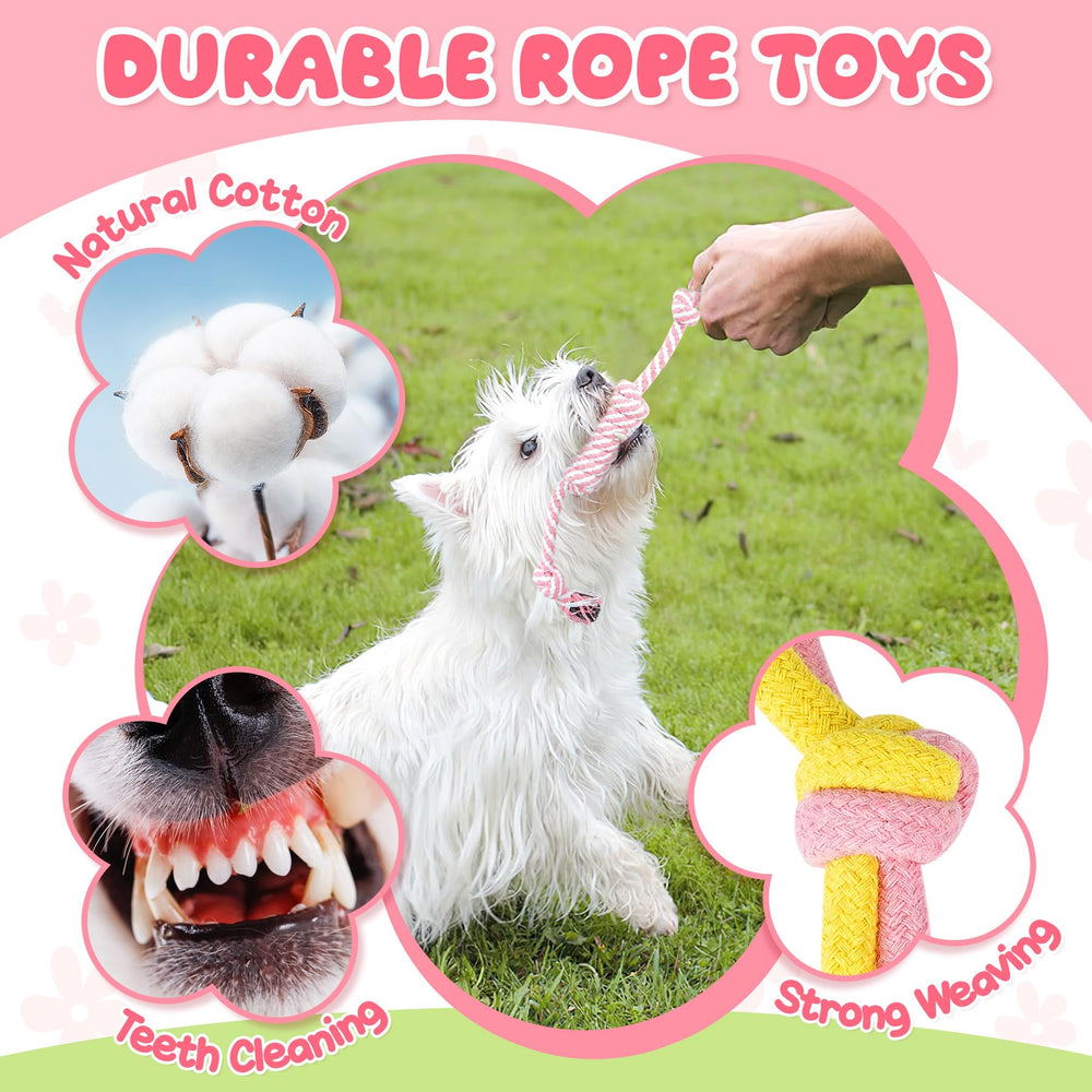 Zeaxuie dog bag rolls and holder keep cleanup organized
