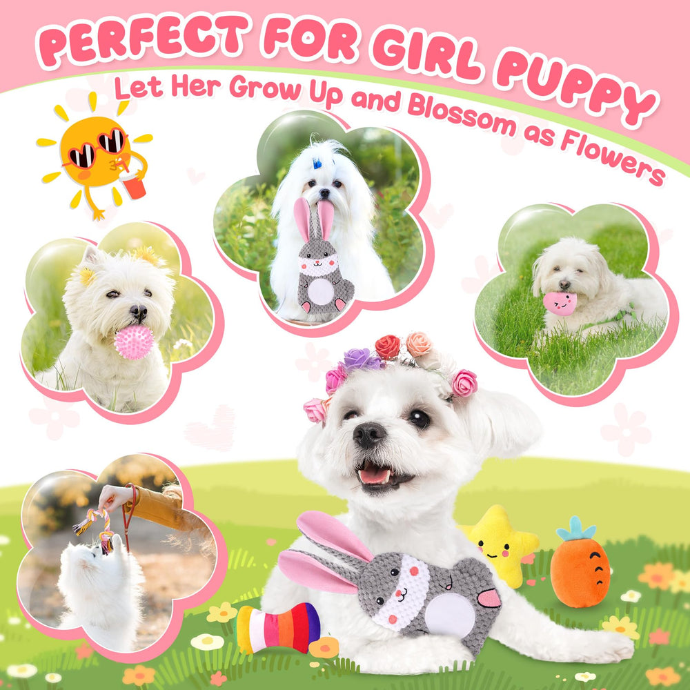 Zeaxuie durable rubber chew toys for gentle chewing sessions