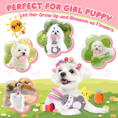 Zeaxuie durable rubber chew toys for gentle chewing sessions