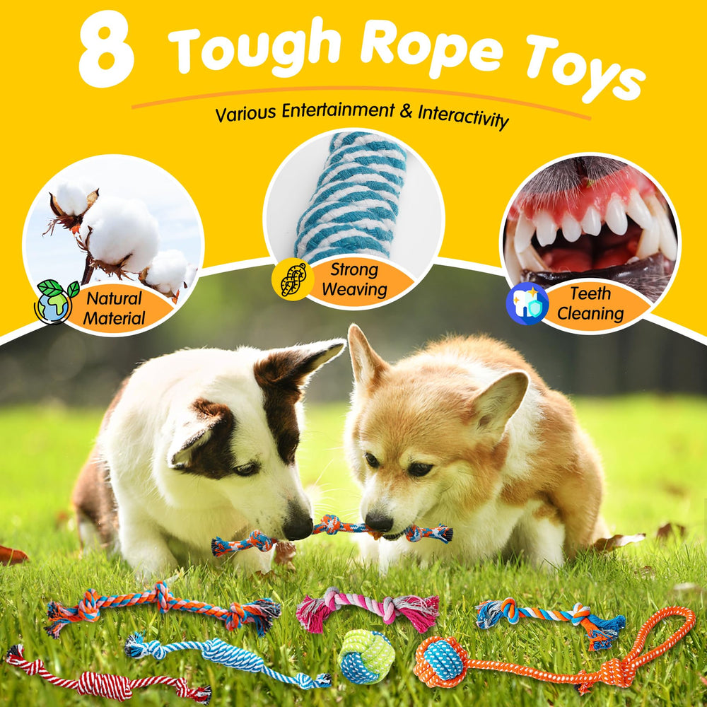 Zeaxuie treat ball engages problem-solving and reward learning.