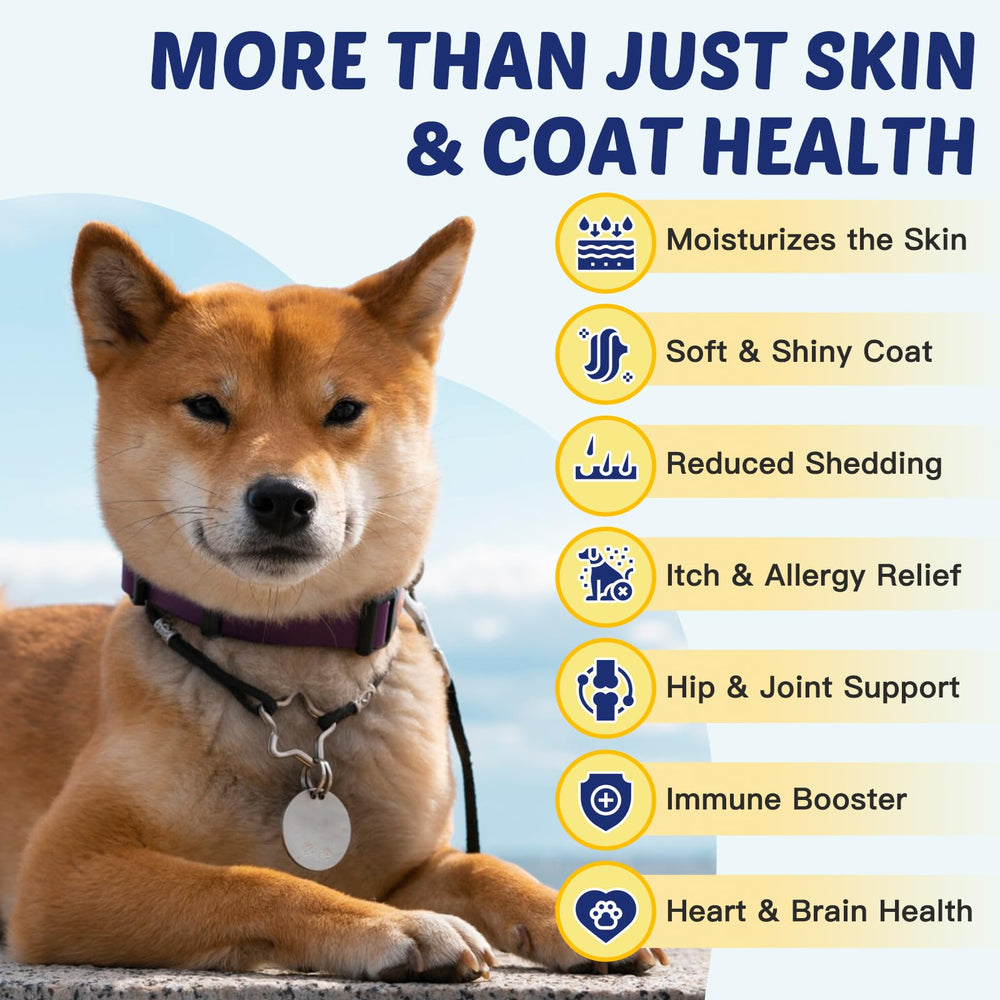 ZEBORA chicken-flavored dog chews in pack for easy, palatable treats