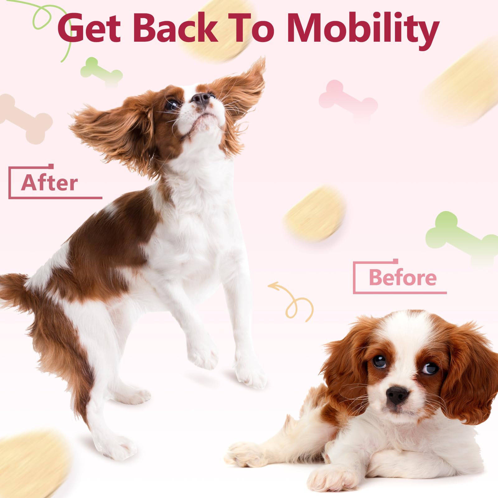 ZEBORA Dog Joint Chews coat-shine emphasizes potential skin and coat benefits.