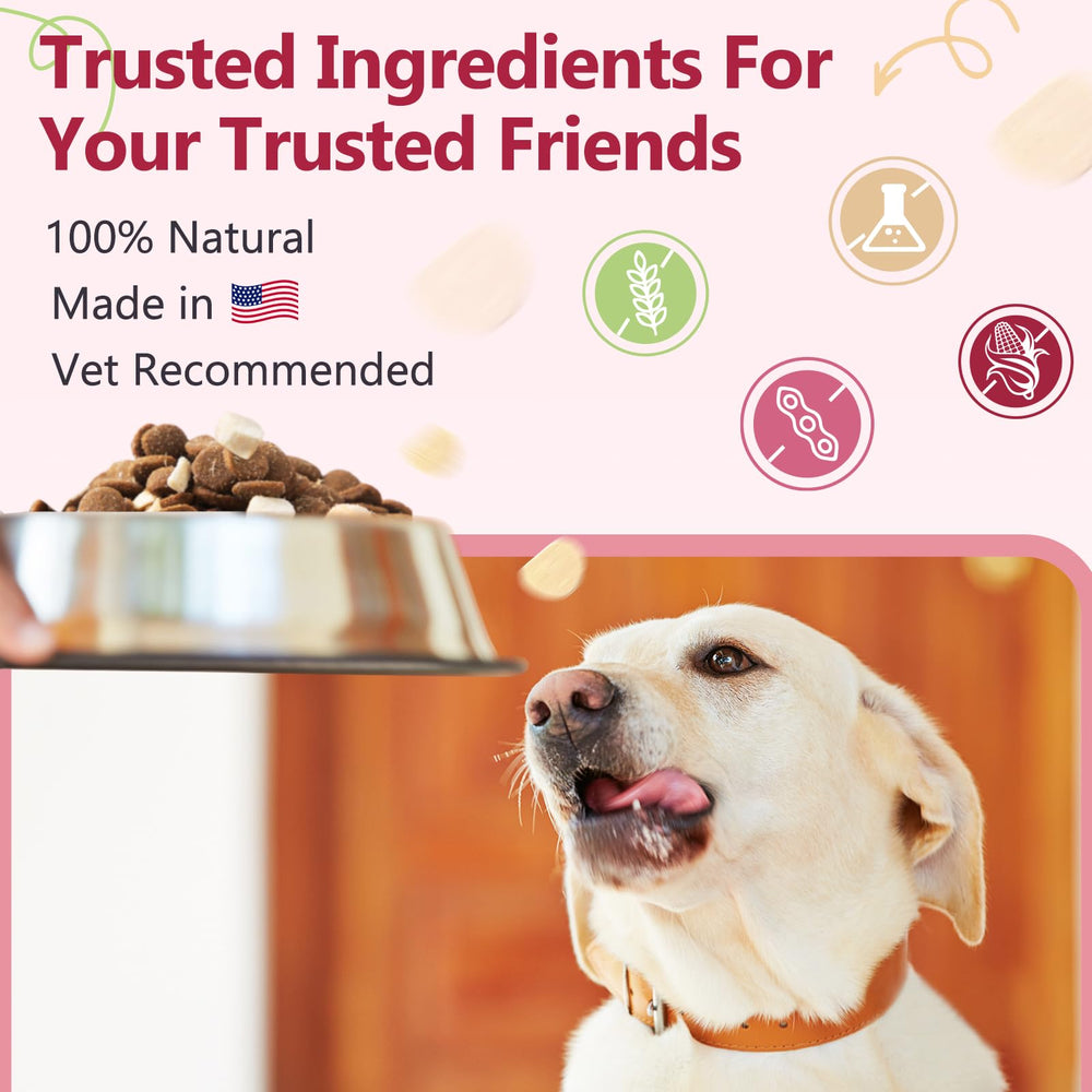 ZEBORA Dog Joint Chews dog-eating shot shows dogs enjoying a healthy snack.