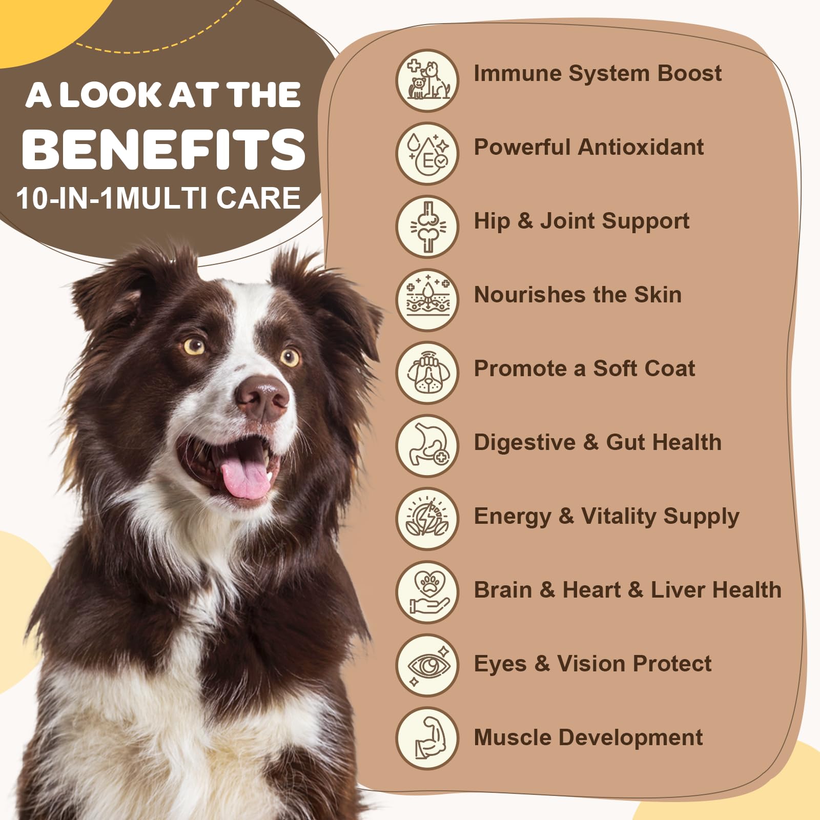 ZEBORA dog multivitamin chews close-up showing tasty bite-sized vitamins