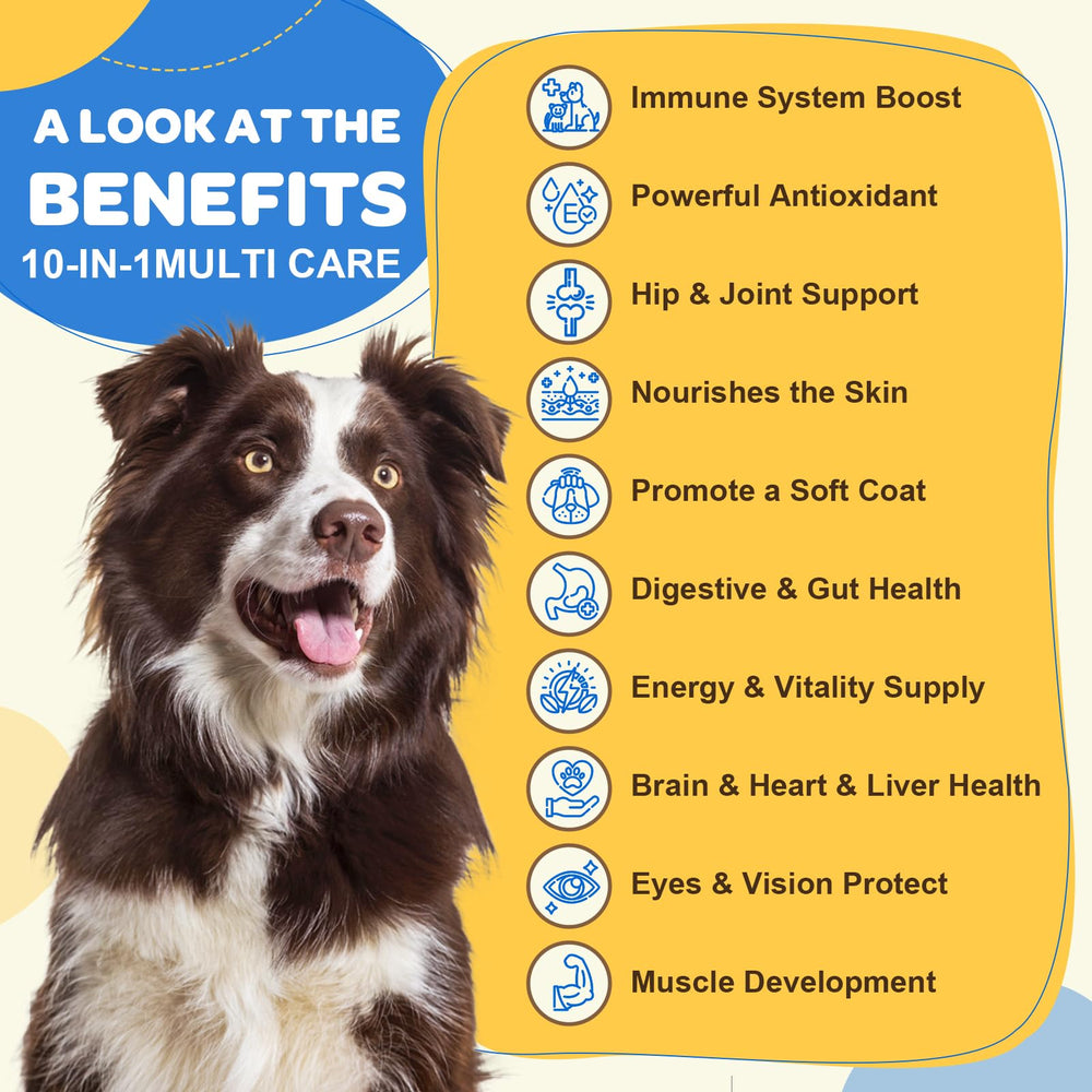 ZEBORA dog multivitamin chews closeup highlights tasty bite-sized nutrition.