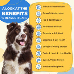 ZEBORA dog multivitamin chews closeup highlights tasty bite-sized nutrition.