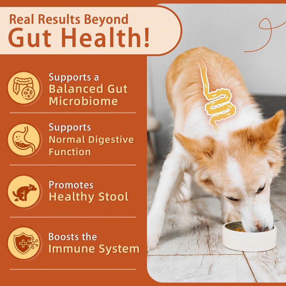 ZEBORA dog probiotics support skin and immune health in dogs.