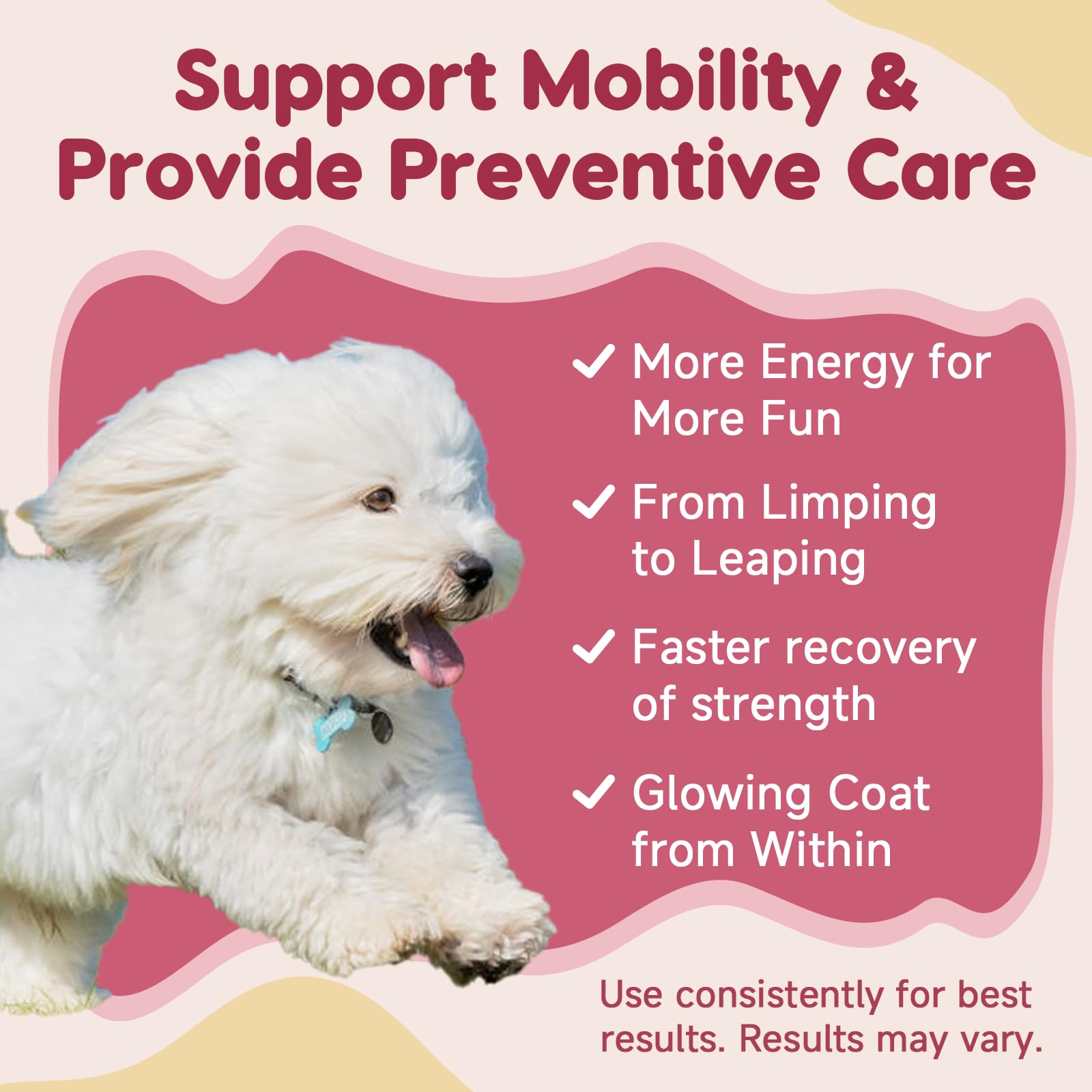 ZEBORA dog playing outdoors demonstrates flexible movement with joint support.