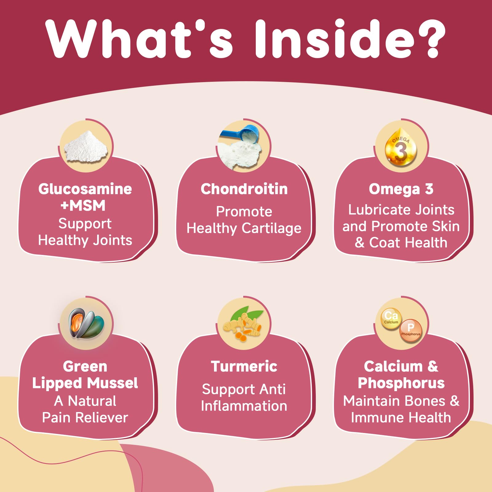 ZEBORA ingredients green-lipped mussel image shows natural joint care benefits.