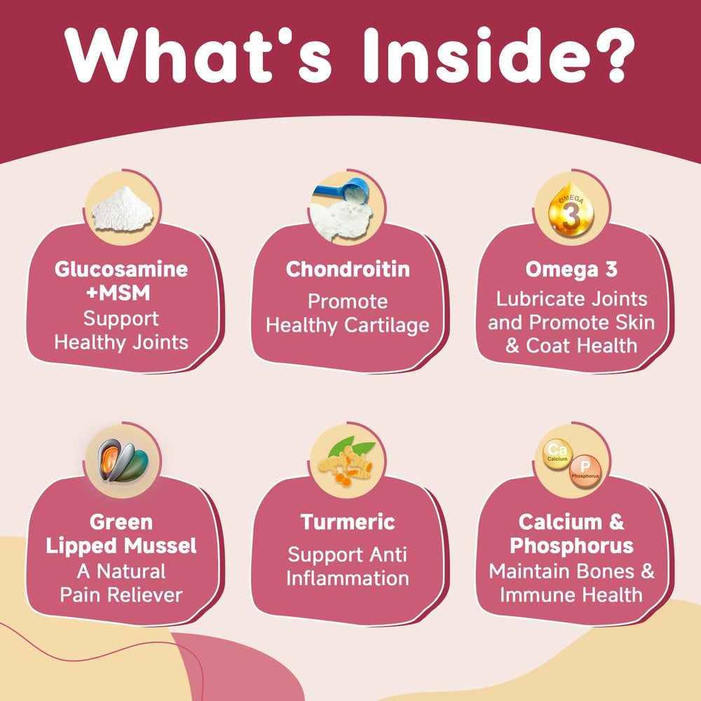 ZEBORA ingredients green-lipped mussel image shows natural joint care benefits.