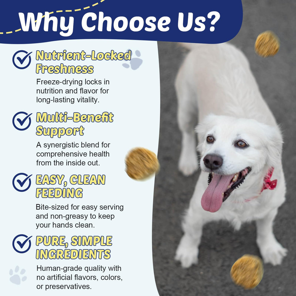 ZEBORA itchy-skin relief chews may soothe irritation and comfort the coat