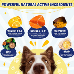 ZEBORA Omega-3 dog chews close-up shows tasty chicken-flavored bites for daily supplementation.