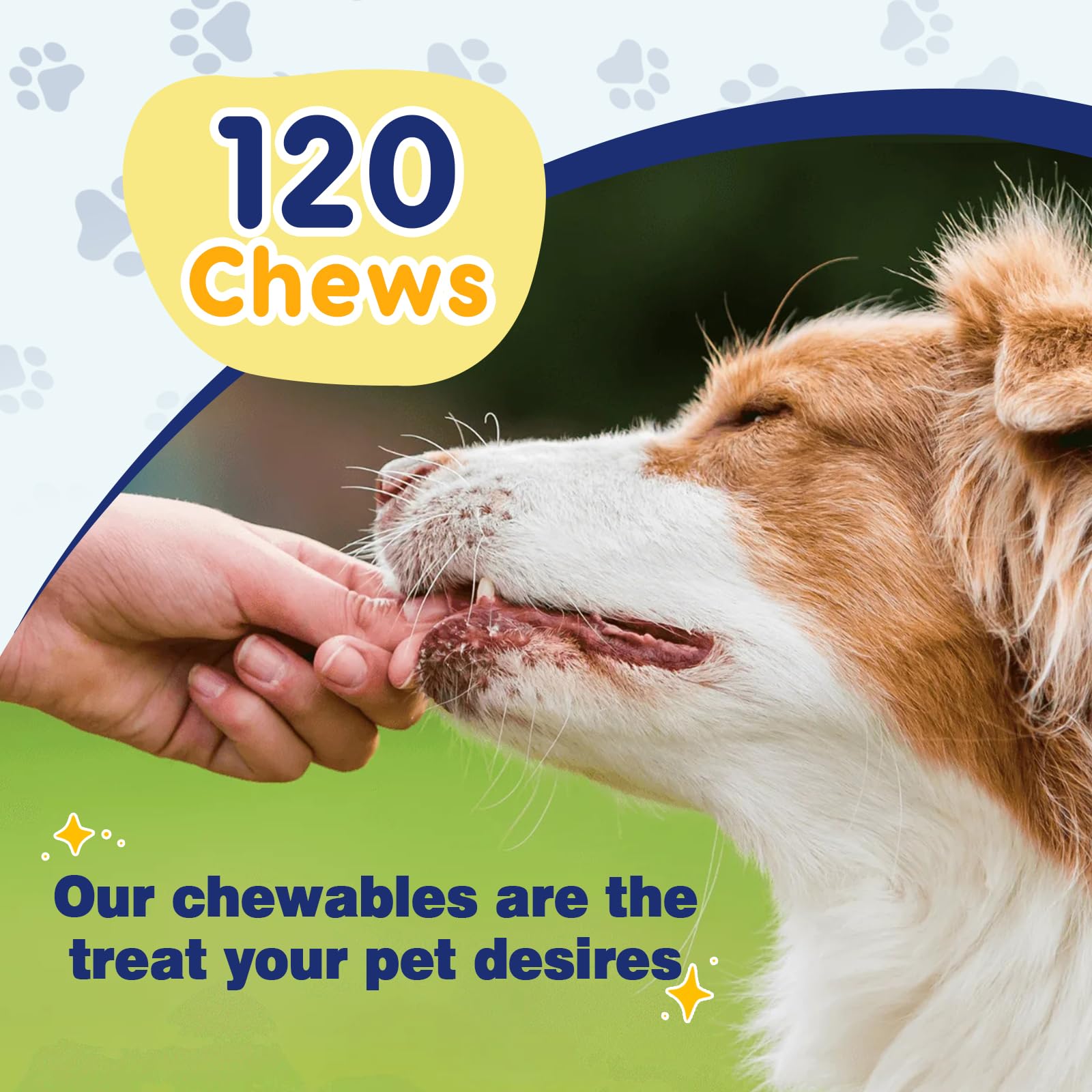 ZEBORA Omega-3 dog energy image suggests vitality from omega-3 immune and brain support.