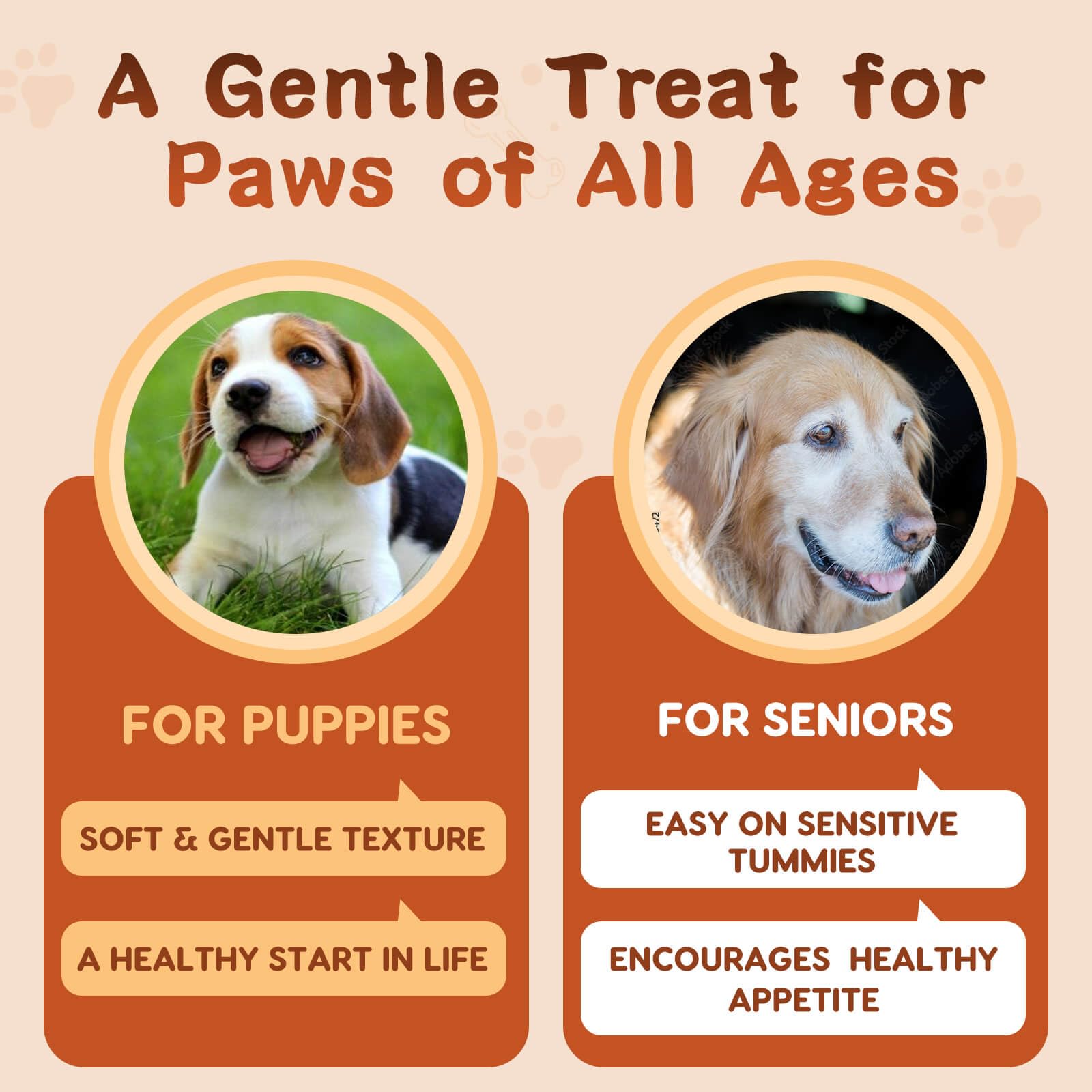 ZEBORA Probiotics for Dogs suitable for puppies to seniors for ongoing digestive support.