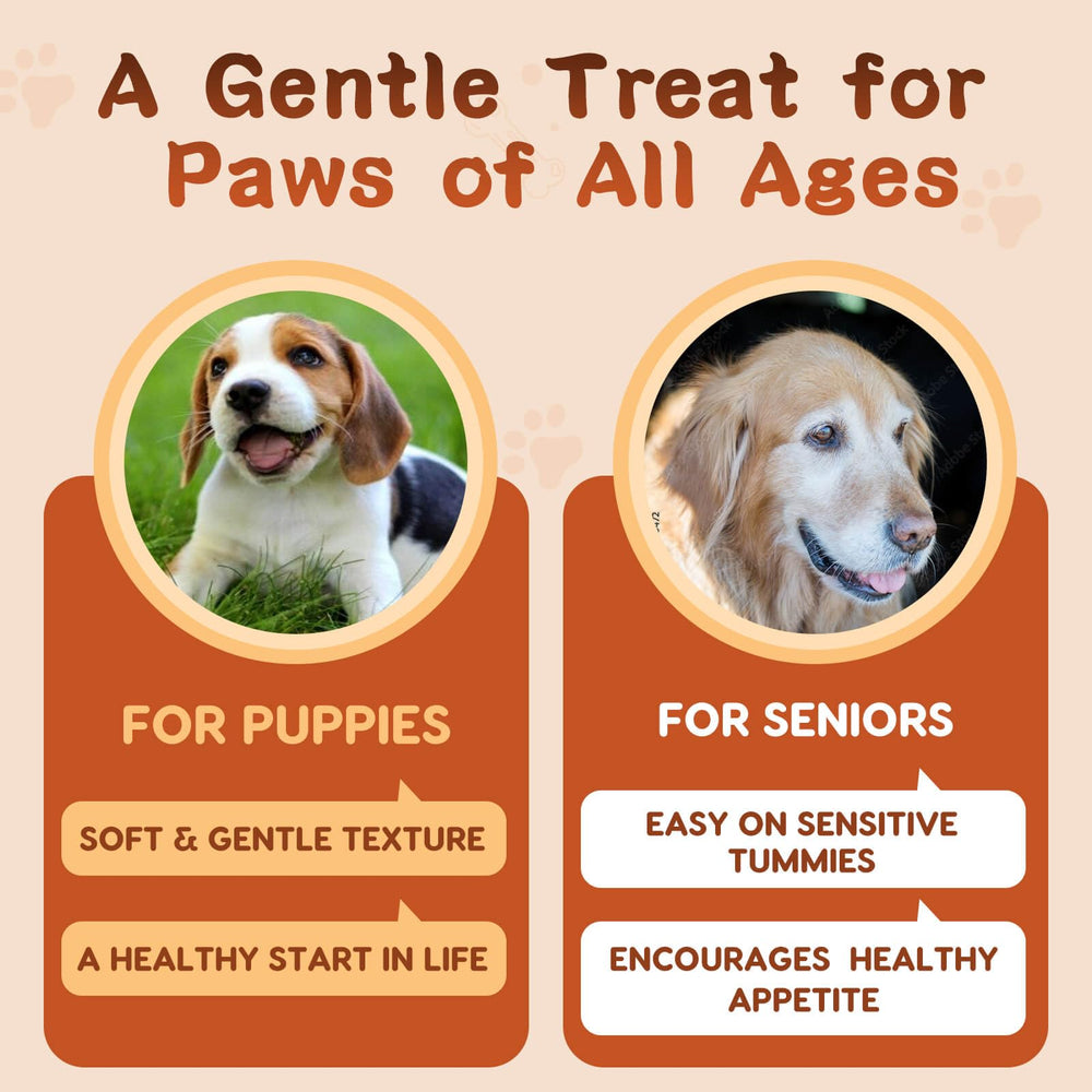 ZEBORA Probiotics for Dogs suitable for puppies to seniors for ongoing digestive support.