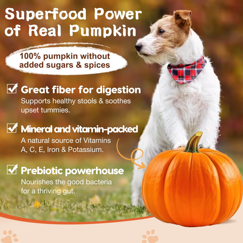 ZEBORA Probiotics for Dogs bottle of 180 chews provides a long-lasting supply.