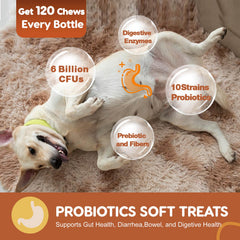 ZEBORA Probiotics for Dogs ingredients pack highlighting pumpkin and fish oil