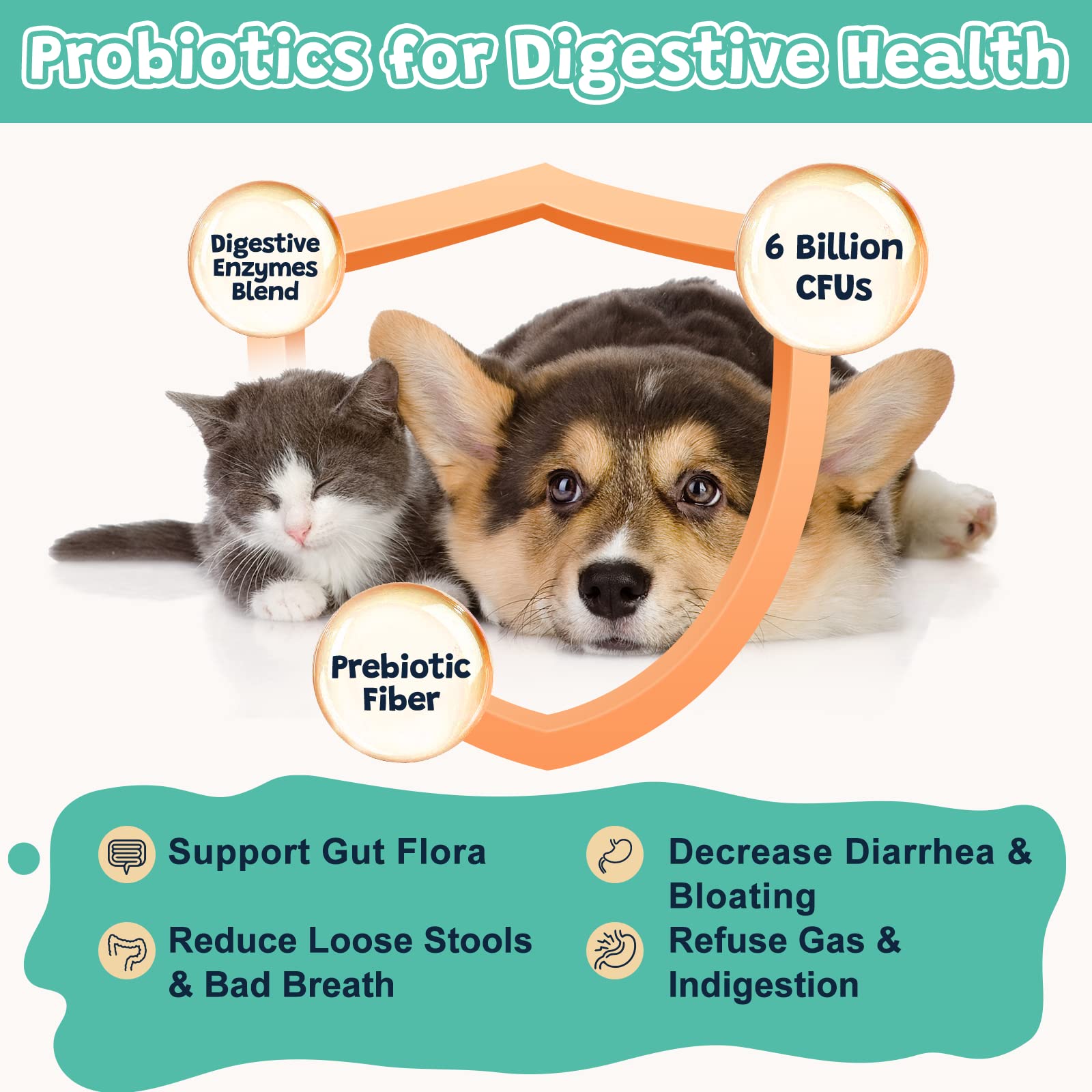 ZEBORA omega-3 and 6 dog chews support skin and coat health.