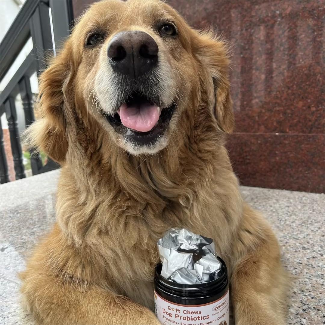 ZEBORA Probiotics for Dogs shelf-stable bottle for easy storage