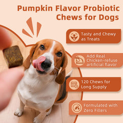 ZEBORA pumpkin-flavor soft chews provide tasty daily support.