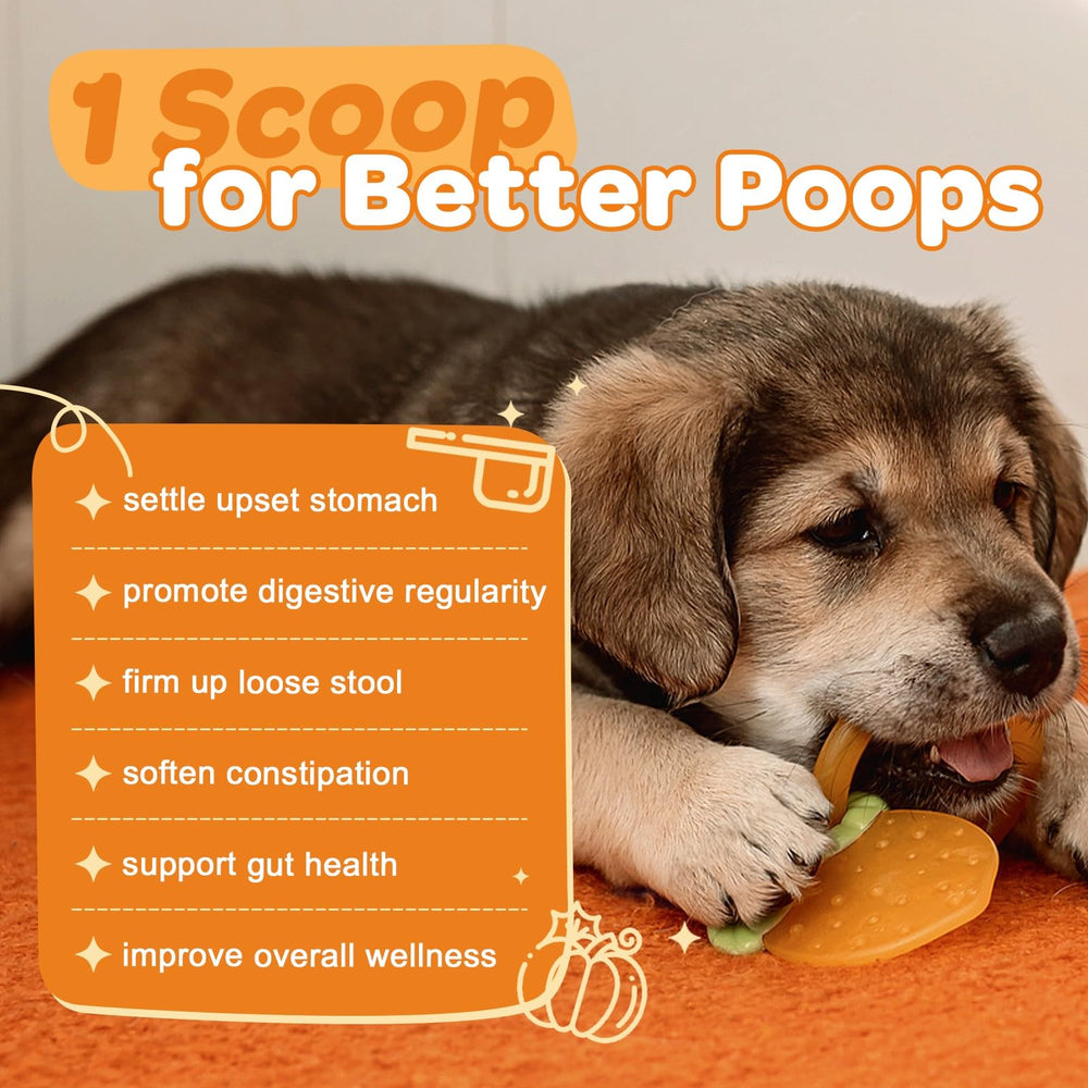 ZEBORA pumpkin for dogs apple probiotics label highlights natural fiber benefits.