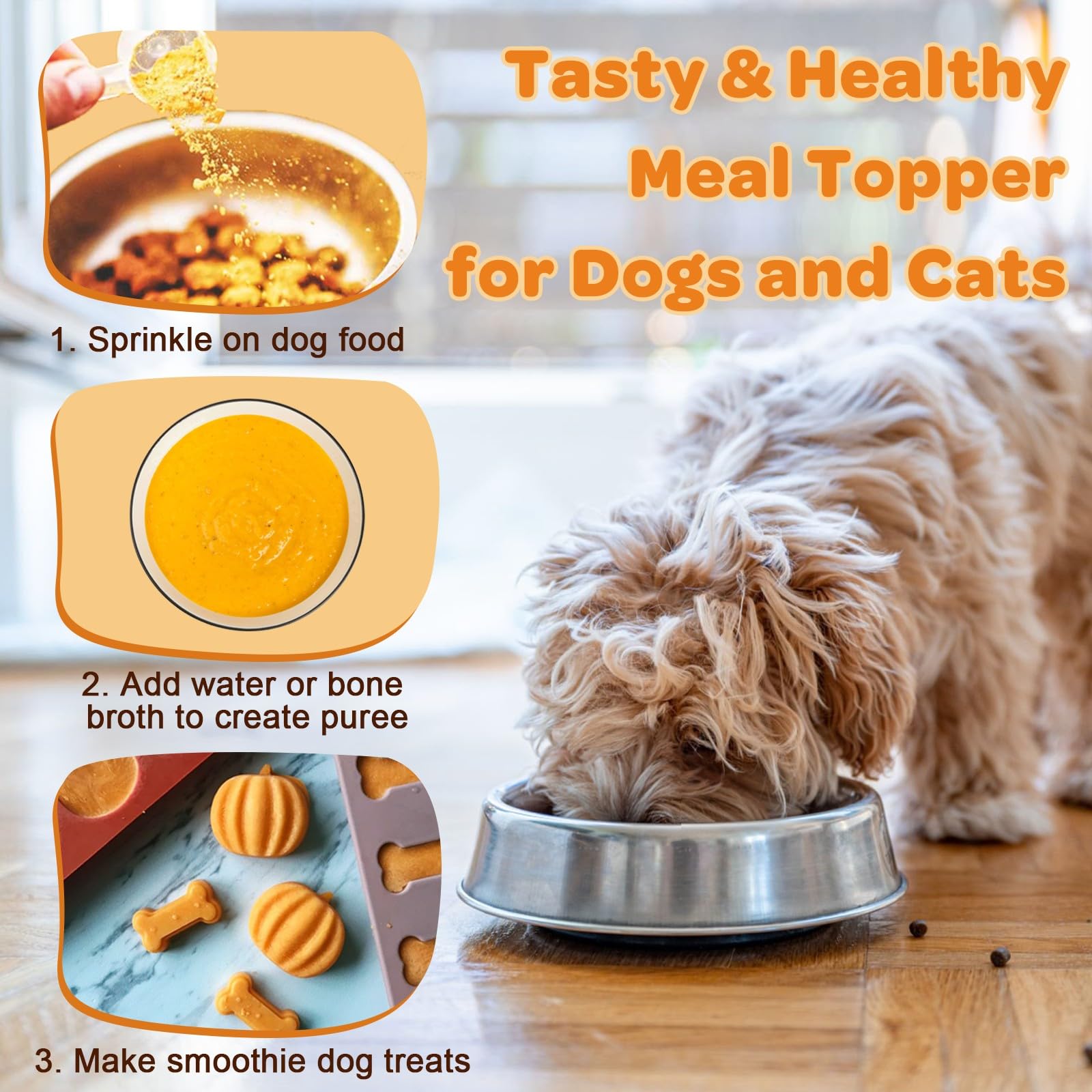 ZEBORA pumpkin for dogs feeding routine with water-ready puree demonstrates convenience.