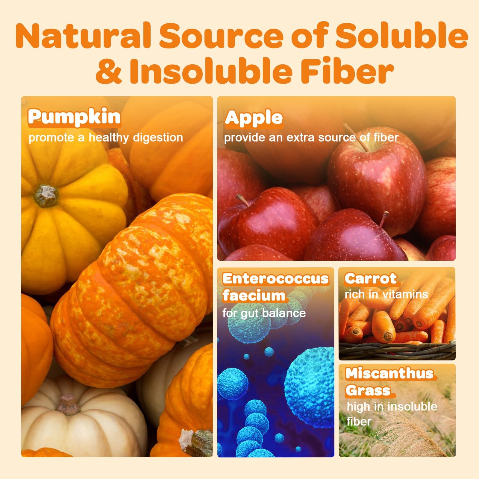 ZEBORA pumpkin for dogs powder scoop ensures precise servings for gut health.