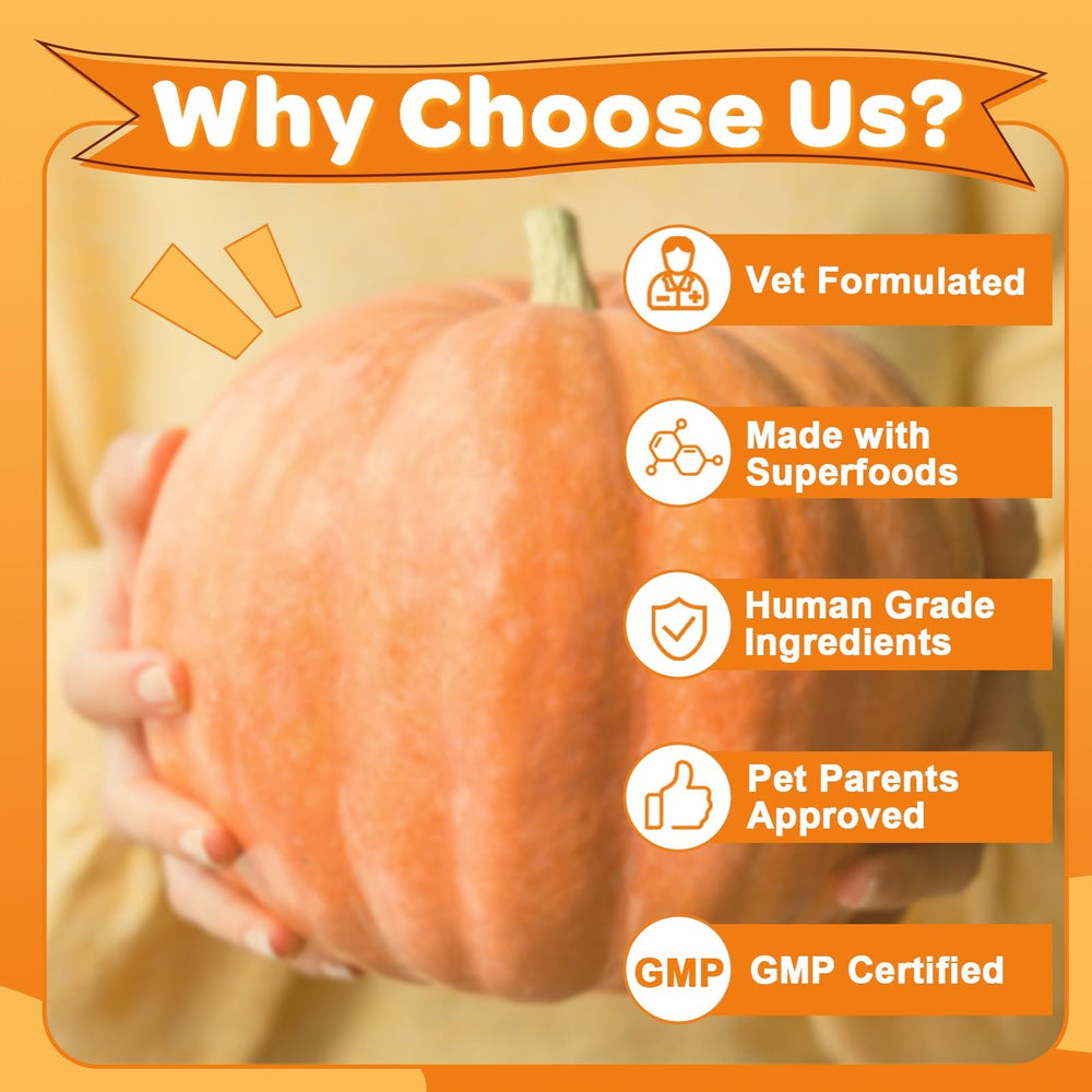 ZEBORA pumpkin for dogs puree prep shot shows mess-free feeding option.