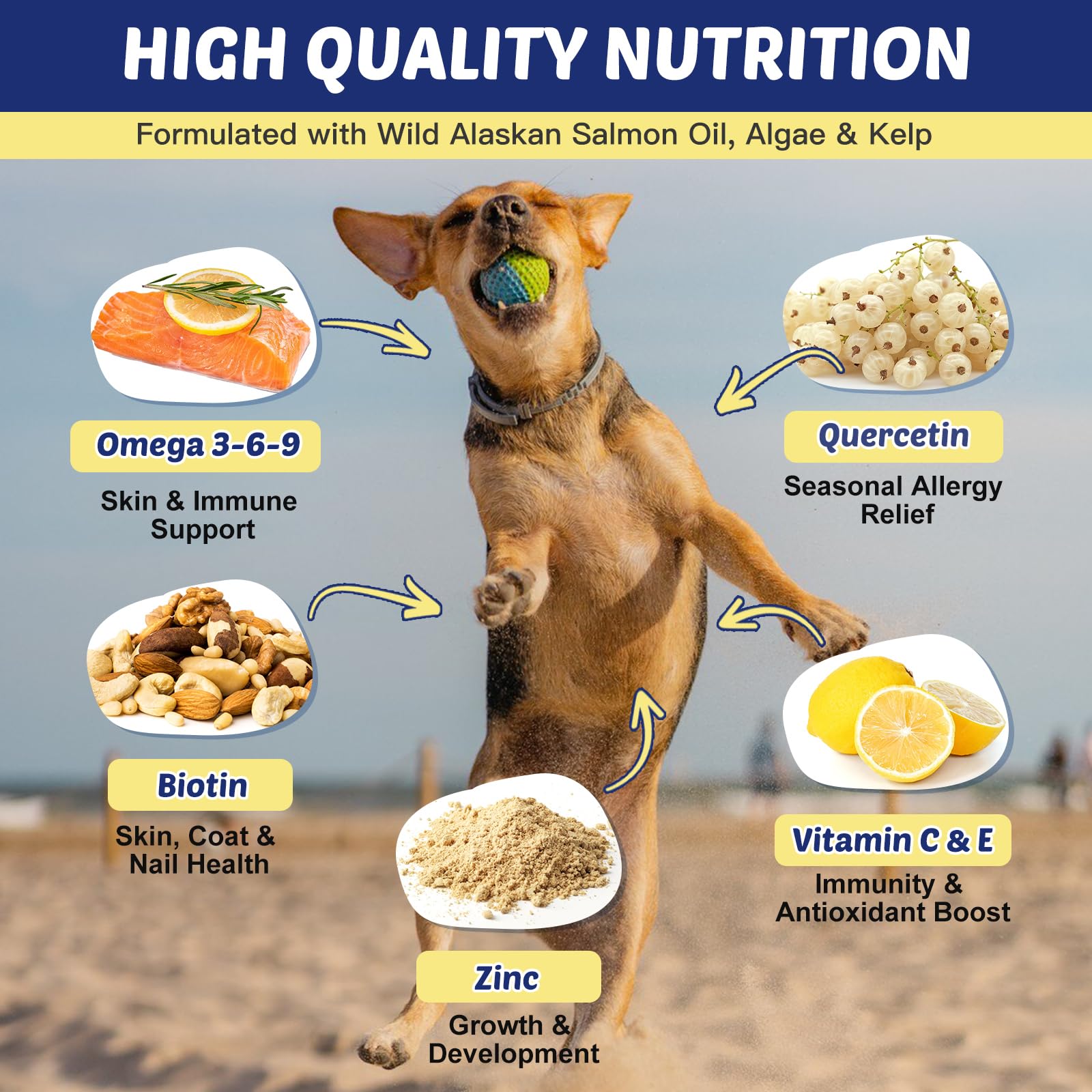 Closeup of ZEBORA salmon oil chews highlighting tasty texture for daily feeding