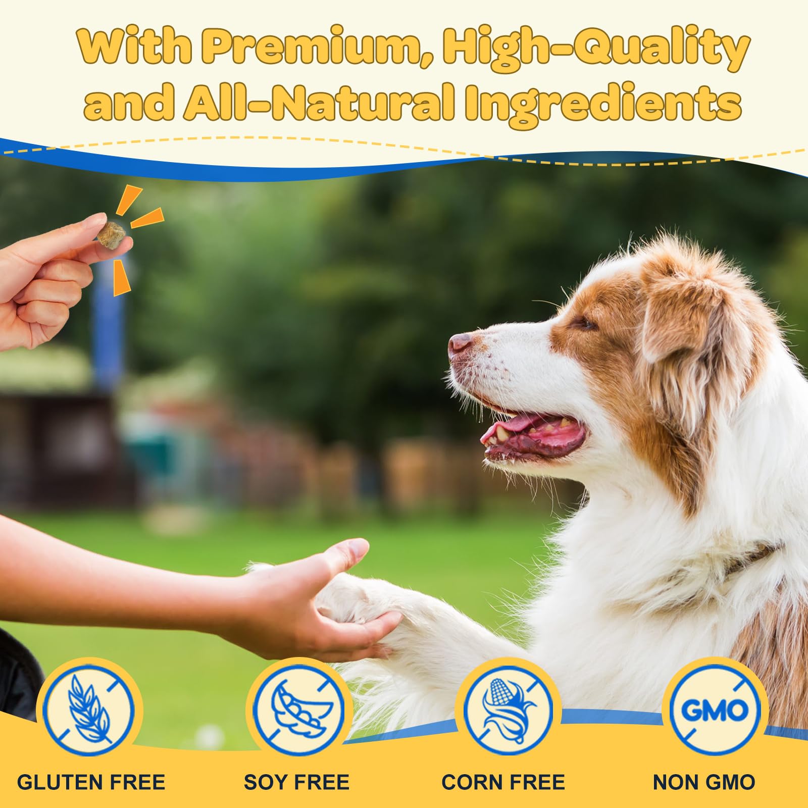 ZEBORA veterinarian-reviewed dog vitamins image signals trusted formula.